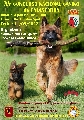 Concurso: CONCURSO CANINO NACIONAL DE CALASPARRA