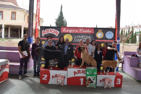 Canina Murciana Juez: 