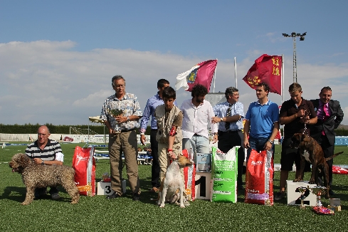 Canina Murciana Juez: 