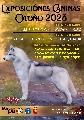 Concurso: EXPOSICI�N NACIONAL  "CAC/ CANINA DE OTO�O 2023