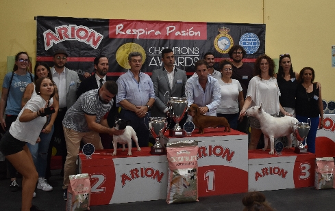 Canina Murciana Juez: 