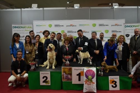Canina Murciana Juez: 