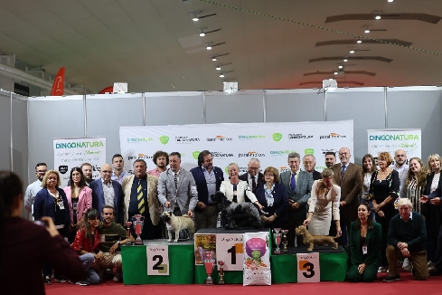 Canina Murciana Juez: 