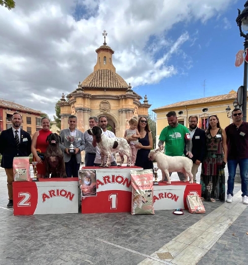 Canina Murciana Juez: 