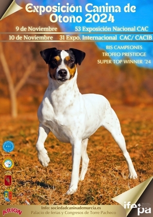 Canina Murciana Juez: 