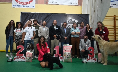 Canina Murciana Juez: 