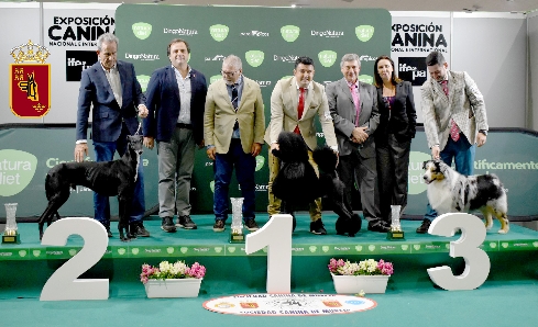 Canina Murciana Juez: 