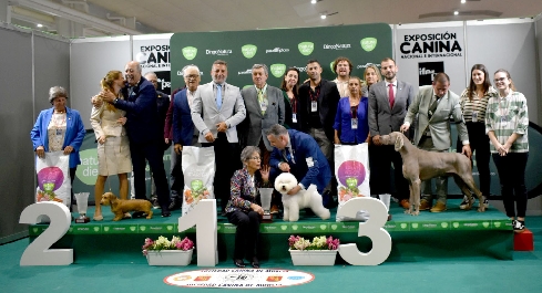 Canina Murciana Juez: 