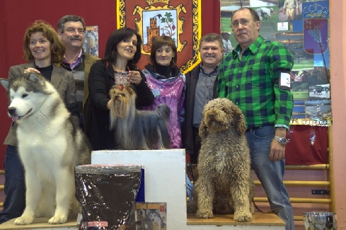 Canina Murciana Juez: 