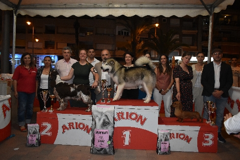 Canina Murciana Juez: 