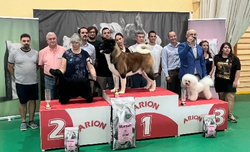 Canina Murciana Juez: 