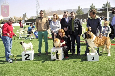 Canina Murciana Juez: 