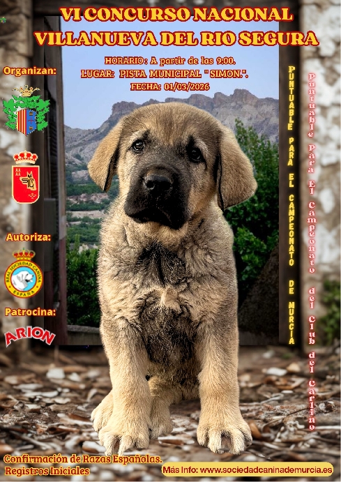 Canina Murciana Juez: 