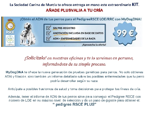 Canina Murciana Juez: 