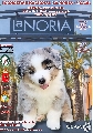Concurso: I CONCURSO CANINO NACIONAL LAS NORIAS/UCAM