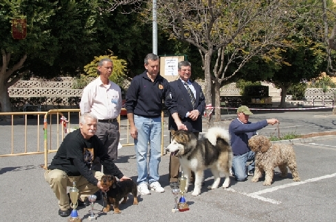 Canina Murciana Juez: 